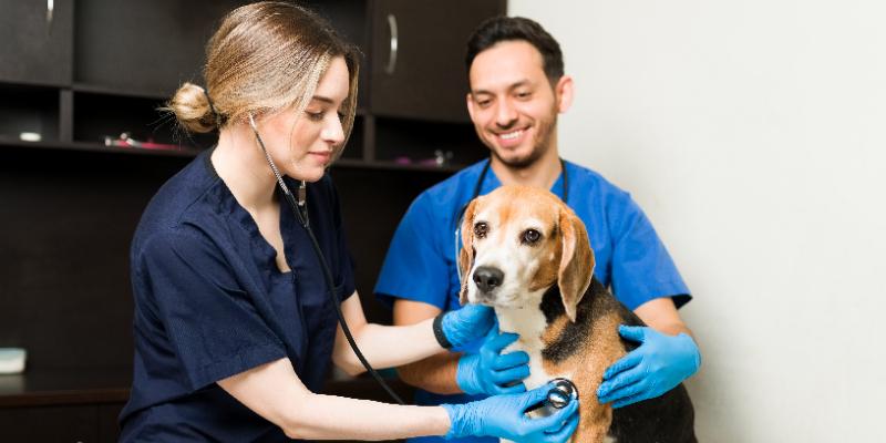 ¿POR QUÉ TENER UN SERVICIO DE ASISTENCIA YA NO ES UN LUJO EN COLOMBIA? 