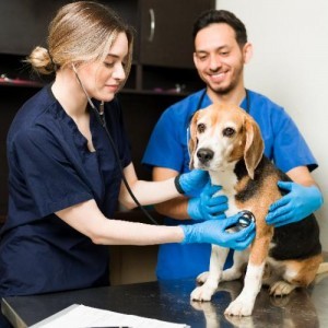 ¿POR QUÉ TENER UN SERVICIO DE ASISTENCIA YA NO ES UN LUJO EN COLOMBIA? 