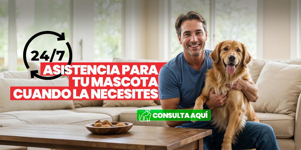 2025 MARZO HEAD DOGS