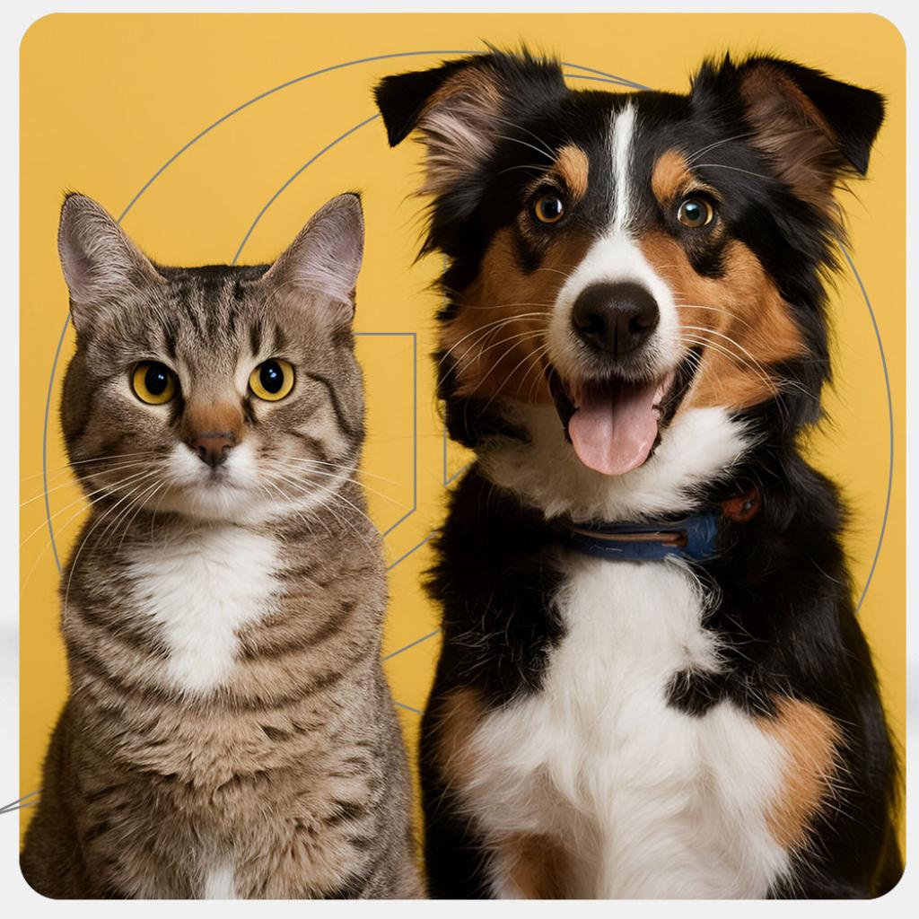 CAPITAL LIFE MASCOTA_1